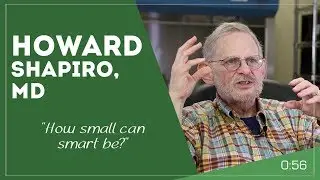 Howard Shapiro - How small can smart be?