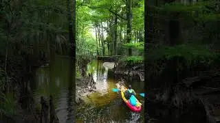 Kayaking down the Loxahatchee River 🛶