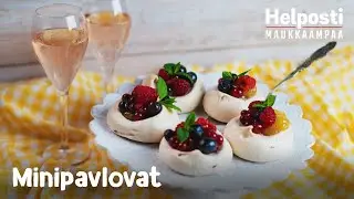 Suloiset minipavlovat