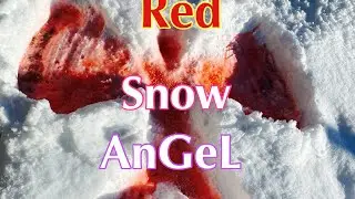 RED SNOW ANGEL #shorts#winter#snow#snowangel#making#red