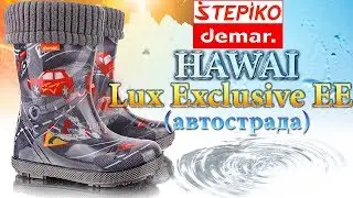 DEMAR Hawai Lux Exclusive EE Автострада 👣 Видео обзор на резиновые сапоги Демары 0448EE от #STEPIKO