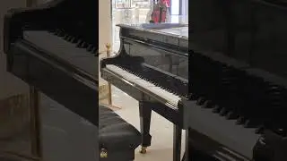 invisible playing piano 🎹#invisible #shorts