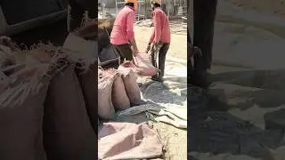 fiori mix concrete #shorts #trending #viral #fiori #concrete #construction