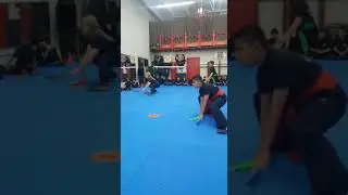 FL Wushu Kung fu Demonstration