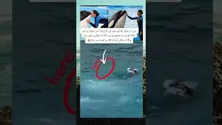 ocra killed jessica #inspiration #motivation #quotes #mrbeast #attack #dolphin #unfrezzmyaccount