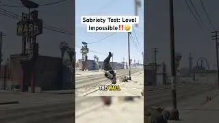 The Most Impossible Field Sobriety Test Ever 😂 #gta5rp
