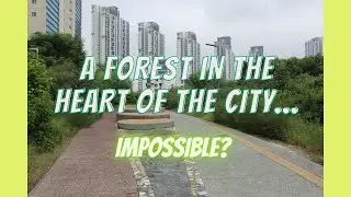 A FOREST IN THE HEART OF GURGAON??!! Experience Badshapur Forest Corridor..