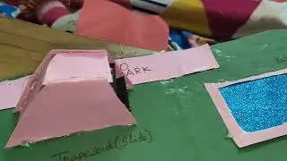#3stdproject#shapespark