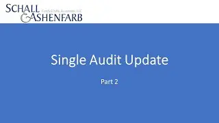 Single Audit Update Part 2