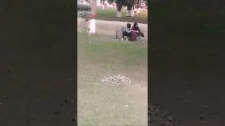 Mara dost kala kha gay 🤭🤷||#mrjerry-i #couple #shorts