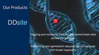 Expanding precision medicine to the rest of the genome with BreakSight