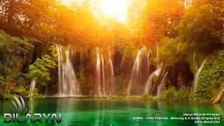DLR044 - Victor Fedorow - Believing In A Dream (Original Mix)