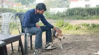 Sardi Mein Doggy Ka Masti Time ❄️🐕Dog Ka Pyar | Loyal Dog Story ❤️Chhota Doggy, Badi Shararat 😍🐶