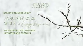 January 2026 Energy Transmission Week 2