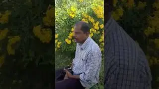 Kerala pravasi pension problems.
