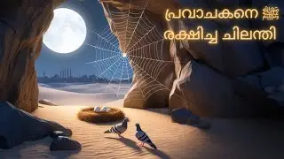 “ഗുഹയിലെ അത്ഭുതം: നബി ﷺയും പ്രാവിന്റെ കാവലും”