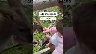 Why visit Sydney?