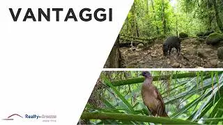 ITALIANO RISERVA DELLA BIOSFERA DI CALAKMUL