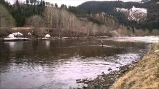 speykast mai