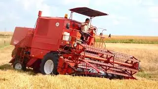 Bizon Super Z056//SW400//Żniwa 2020//Dźwięk Silnika
