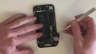 Iphone 7 loud speaker replacement