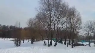 DSCN3437      12 12 2016 Г     ПРОГУЛКА   ...
