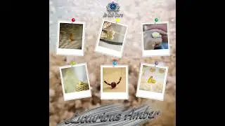 luxurious Baltic amber jewelry only at www.joboltstore.com