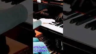 🎹Need the exercise?▶️#79:Op.821,160 Eight measure Exercise- C.CZERNY#shorts #piano