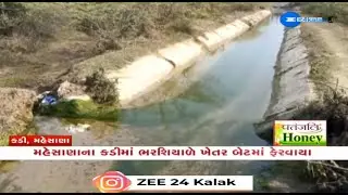 Mehsana: Farmers face huge crop loss due to breach in Narmada's minor canal at Kadi's Vaghroda