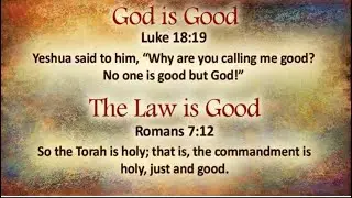 Chickens and Judaizers