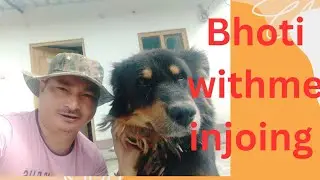 Pahadi mountain dog bhoti at night 😊😊