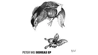 Peter Wei - Boreas [Timmpi Records]