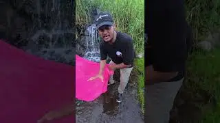 Blood Worms எங்கே கிடைக்கும்? Full village search பண்ணோம் 💥 Fish Food Hunting Tamil | DK Aqua Pets&rdquo;