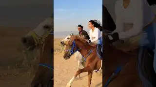 Dubai desert horse racing