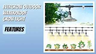 REVIEW (2026): EVERGROW Outdoor Waterproof Grow Light. Features