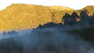 evitar heladas en duraznos
