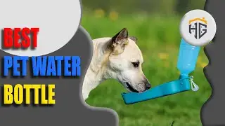 ▶️Pet Water Bottle: Top 5 Best Pet Water Bottle For 2022 - [ Buying Guide ]