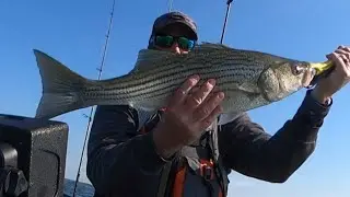 Chesapeake Bay Patuxent River Rockfishing