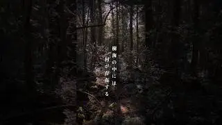 樹海村
