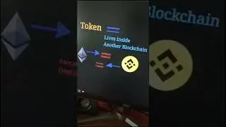 KEY Difference between Crypto Token and Coin that Helps you Make Money Crypto Altcoins Day Trading