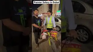 Painter Salary in Dubai