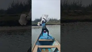 net fishing short viral video beautiful village fisherman #catchingfish #fish #fishinglife