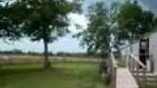 Brandon's Yard