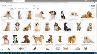 Using Freesound, Audacity, Google Images, Gimp and Unity to Create/Edit Image Assets
