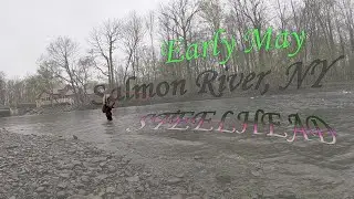 Fishing For Early May Steelhead! - Salmon River, NY