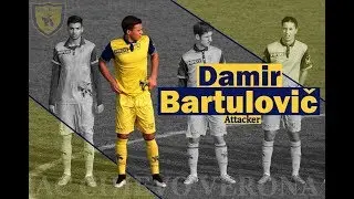 Damir Bartulovic ● AC Chievo Verona ● Attacker ● Highlights