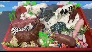 Unboxing Animal Toys Collection Tiger | Rhino | Zebra | Giraffe | Cow | Deer | Goat #animaltoys