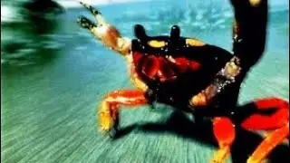 The Prodigy - Fuel My Fire