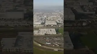 Trump Buys Tesla and Declares Vandalism on Tesla's as Domestic Terrorism