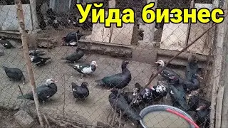 1000 $ га Уйда бошлаган бизнесим